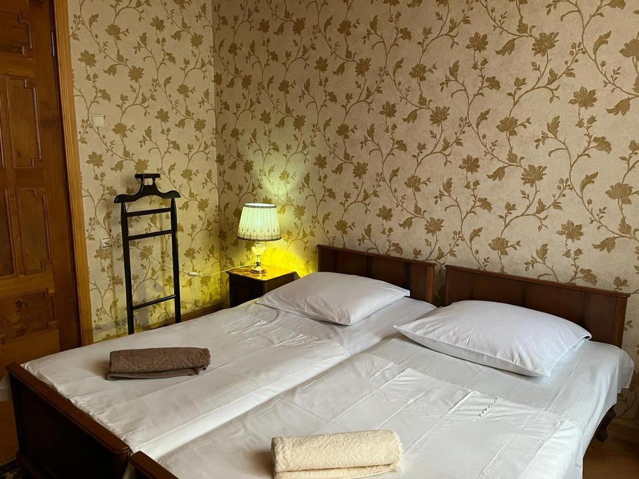 Guest House Levan II Dadiani ズグジジ エクステリア 写真