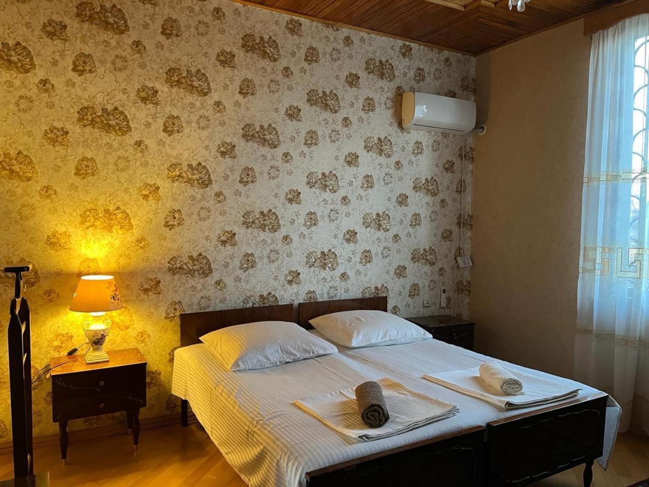 Guest House Levan II Dadiani ズグジジ エクステリア 写真